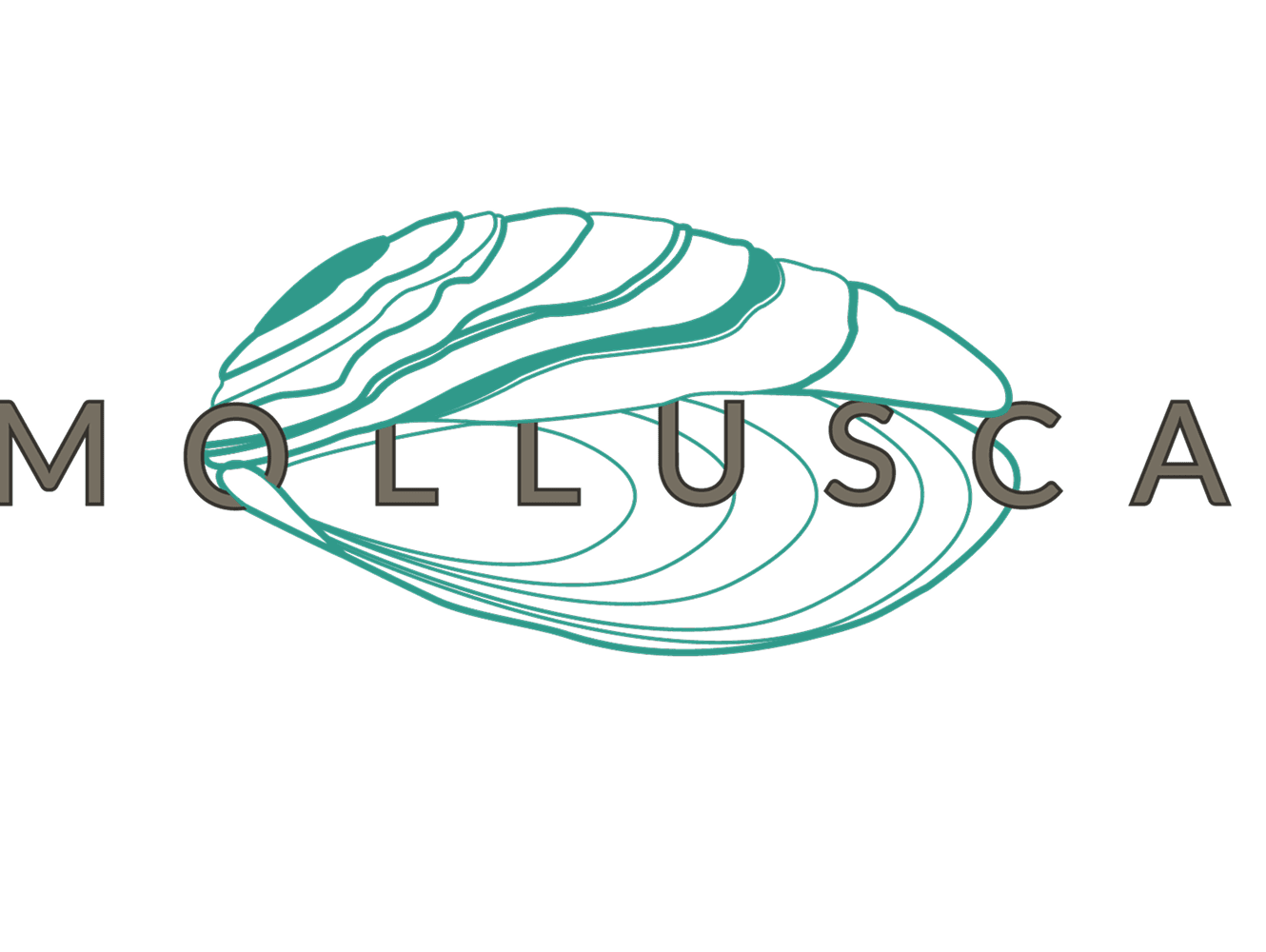 Логотип Mollusca