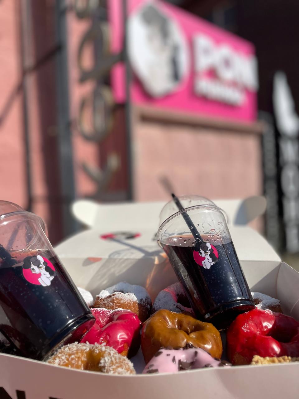 ПОН-ПУШКА №5