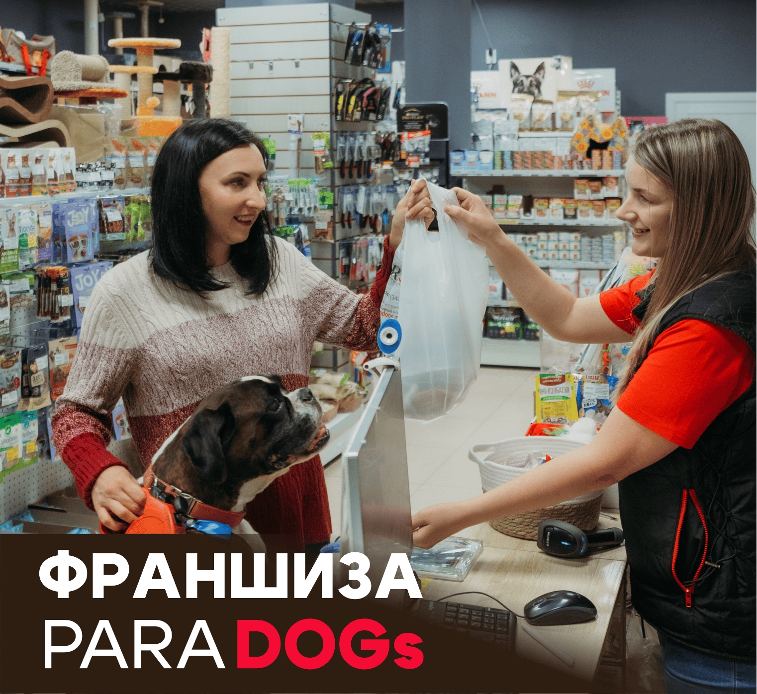 PARADOGs №2