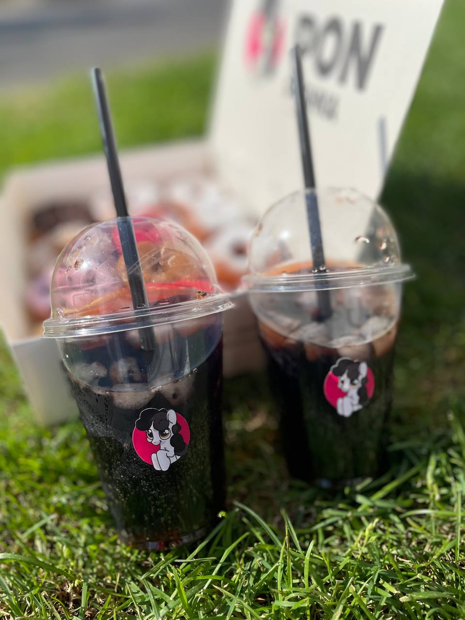 ПОН-ПУШКА №15