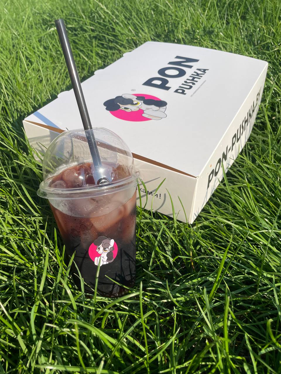 ПОН-ПУШКА №17