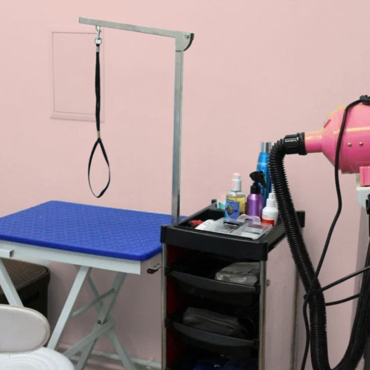 Бубочка №11