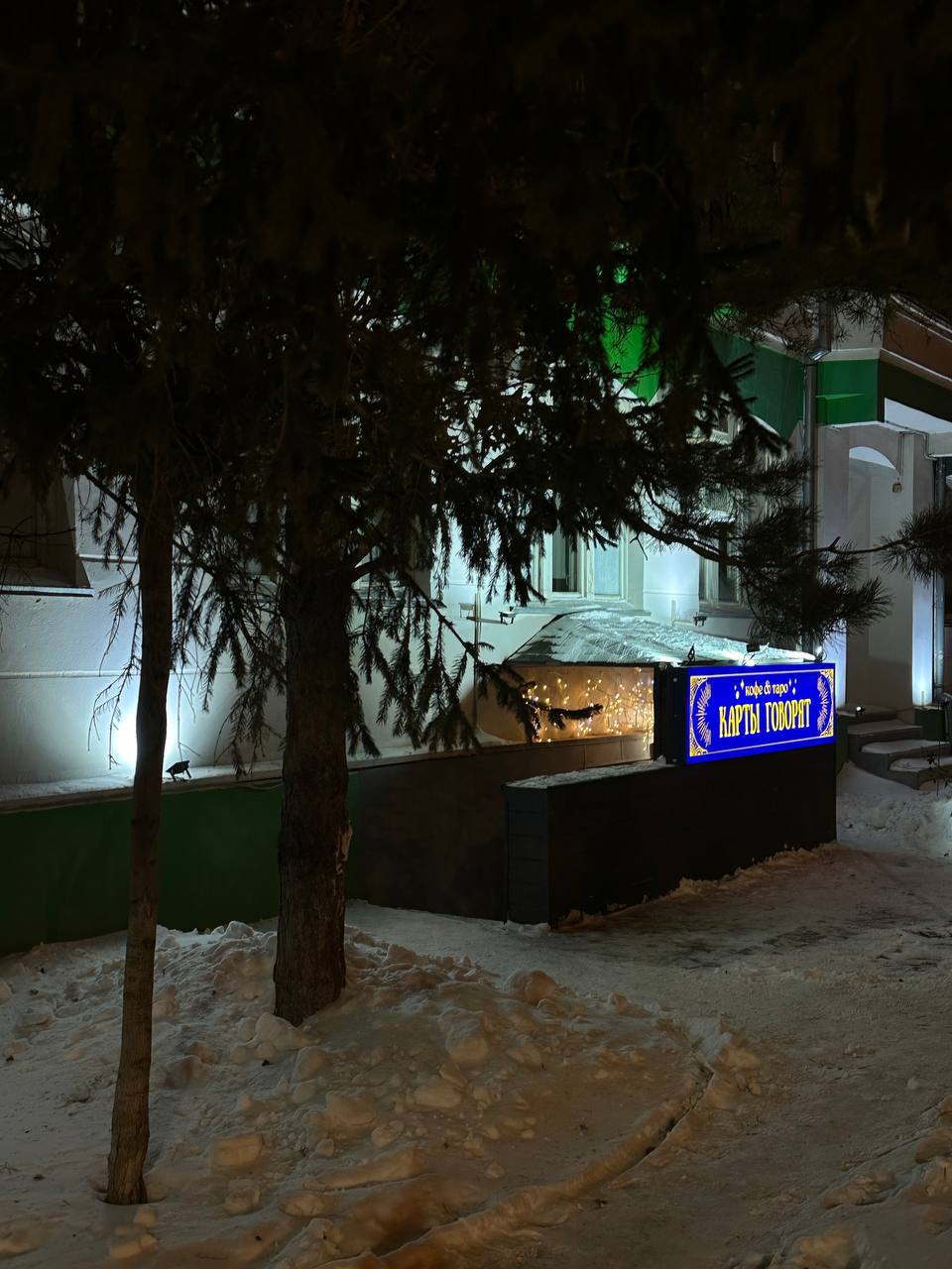 Карты говорят №11