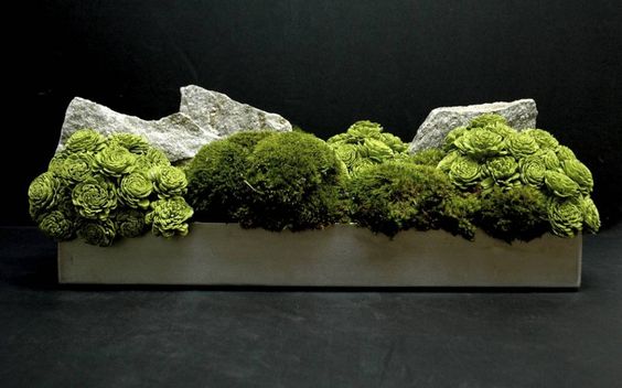 MOSS DECORE №10