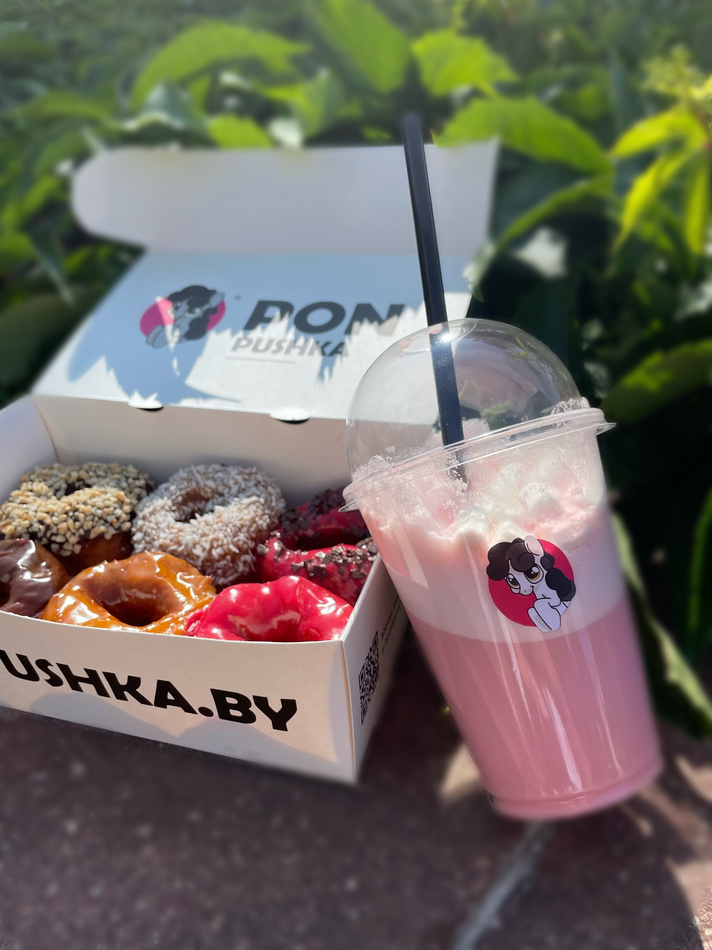 ПОН-ПУШКА №18