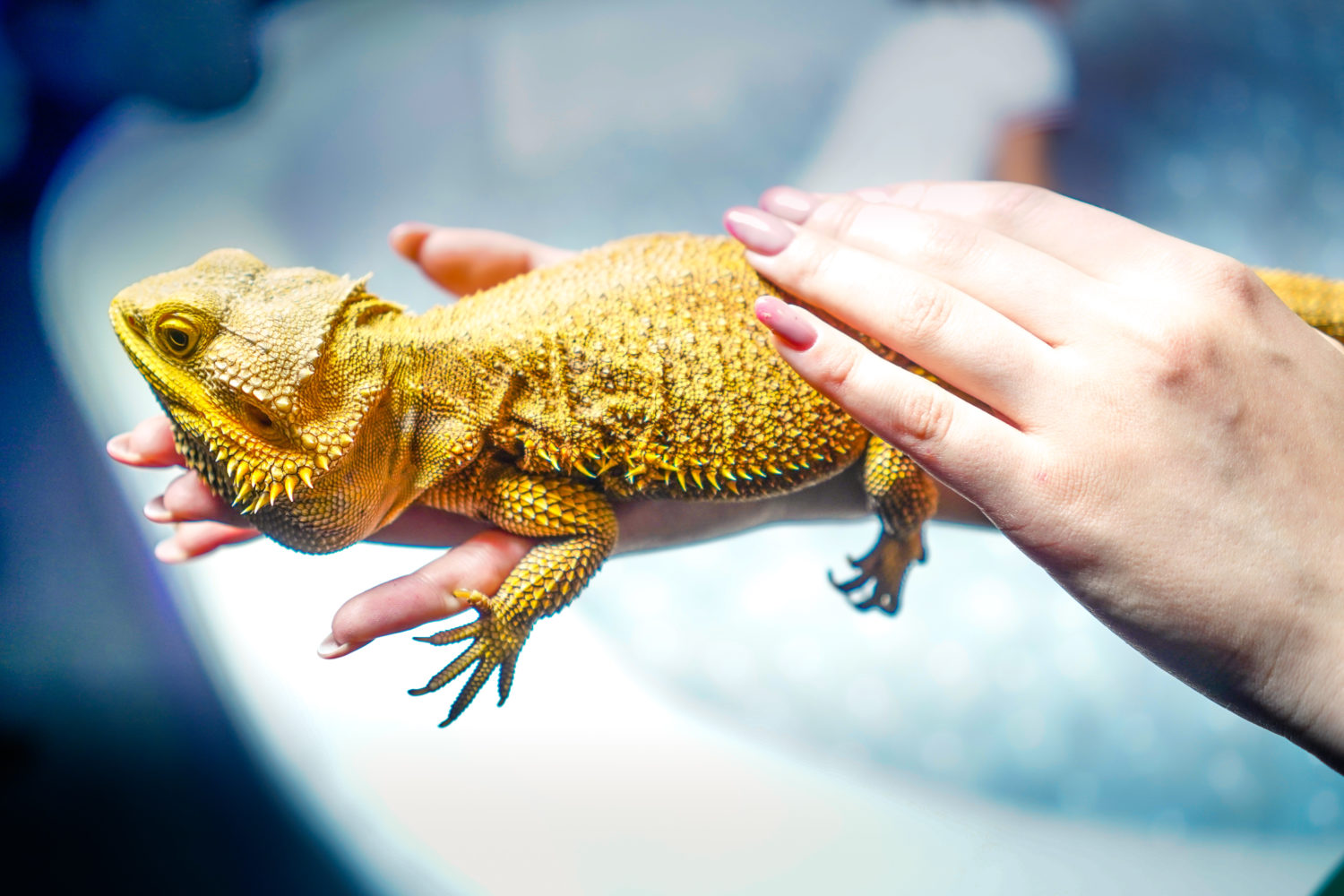 Футурамия №3