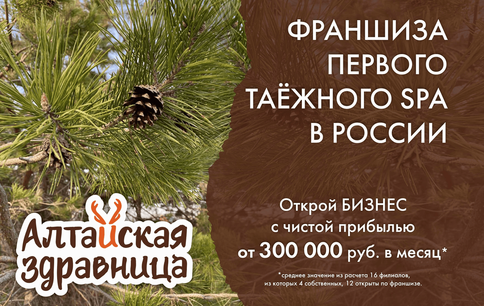 Превью Алтайская Здравница