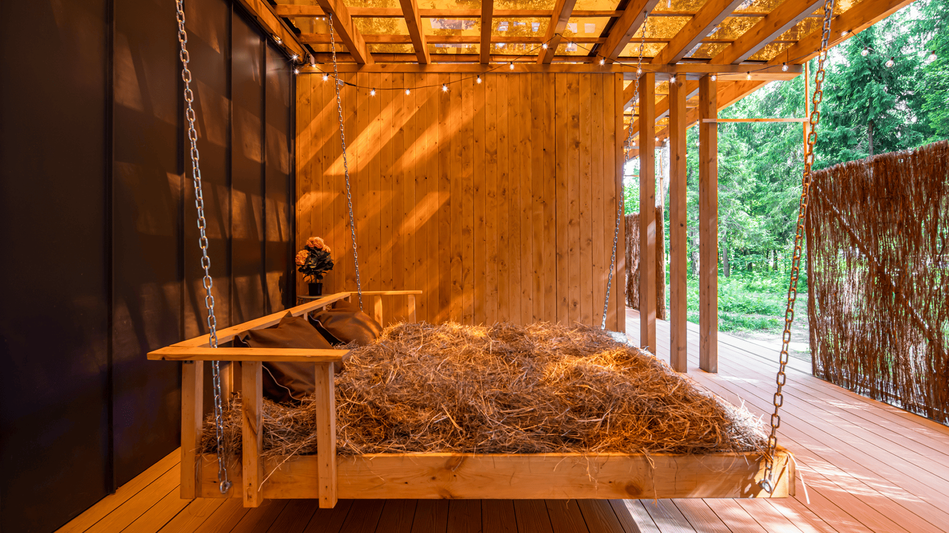 Жар-птица №18