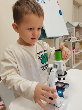 Слон и Птичка №2