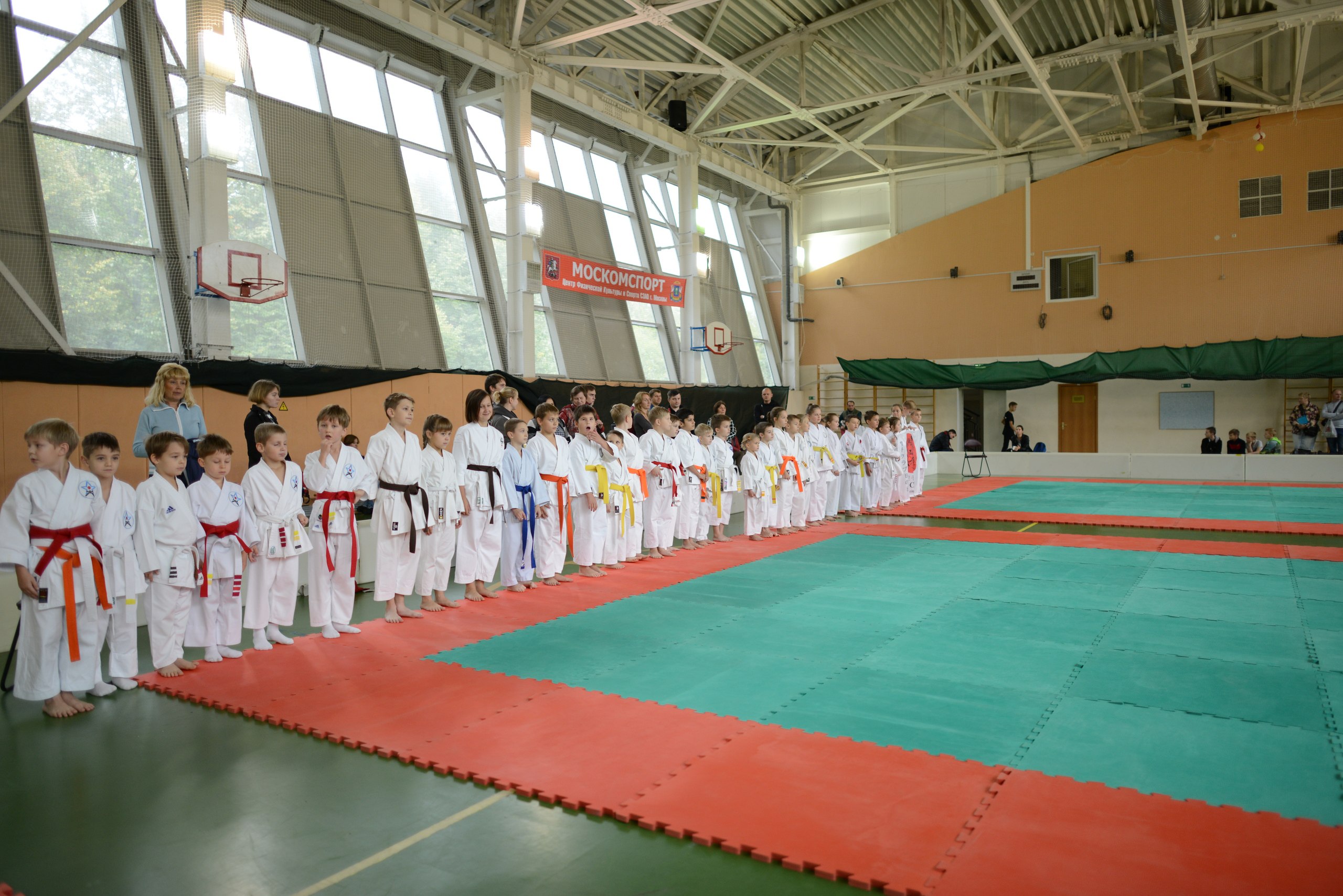 Гармония №6