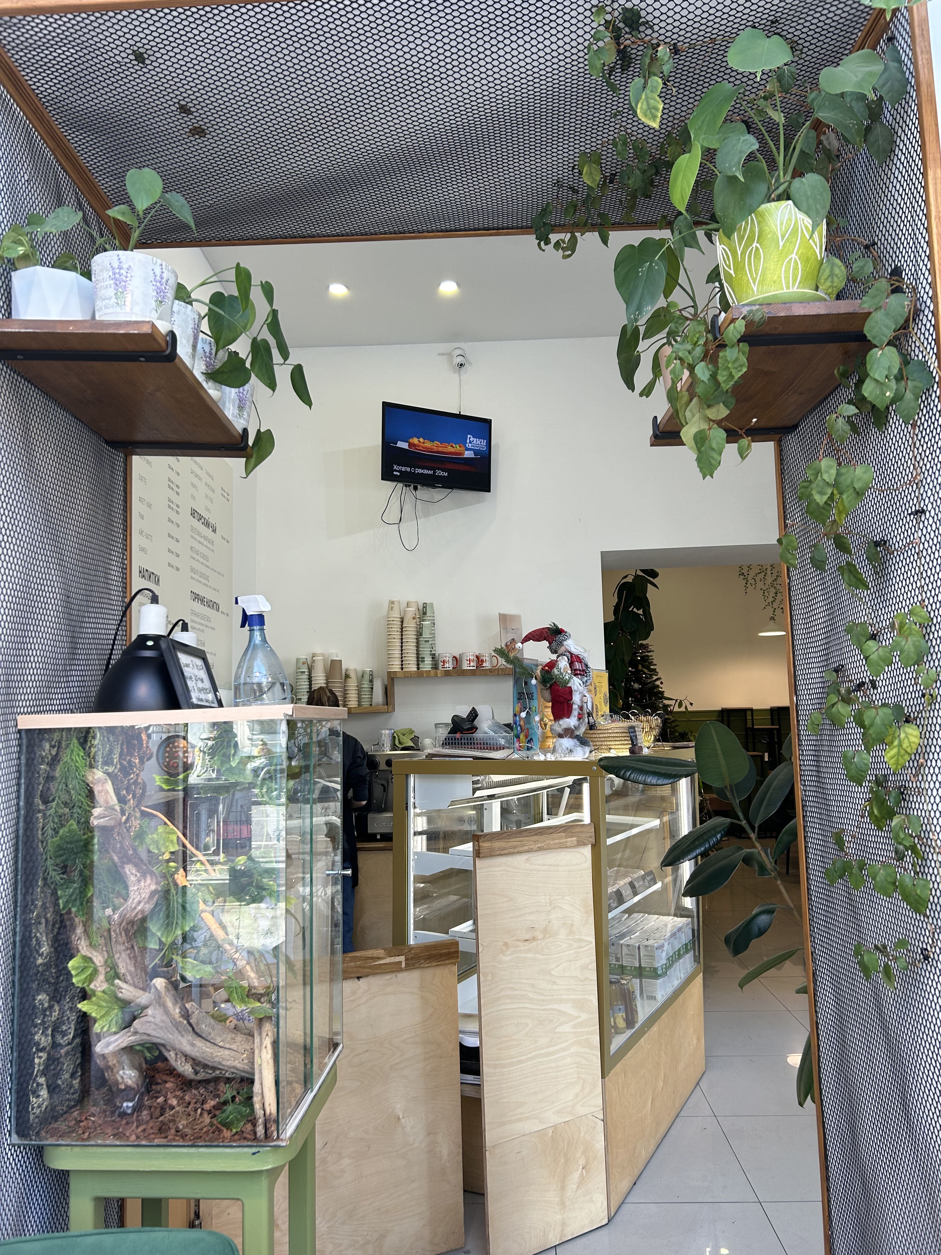 Раки&Эклеры №10