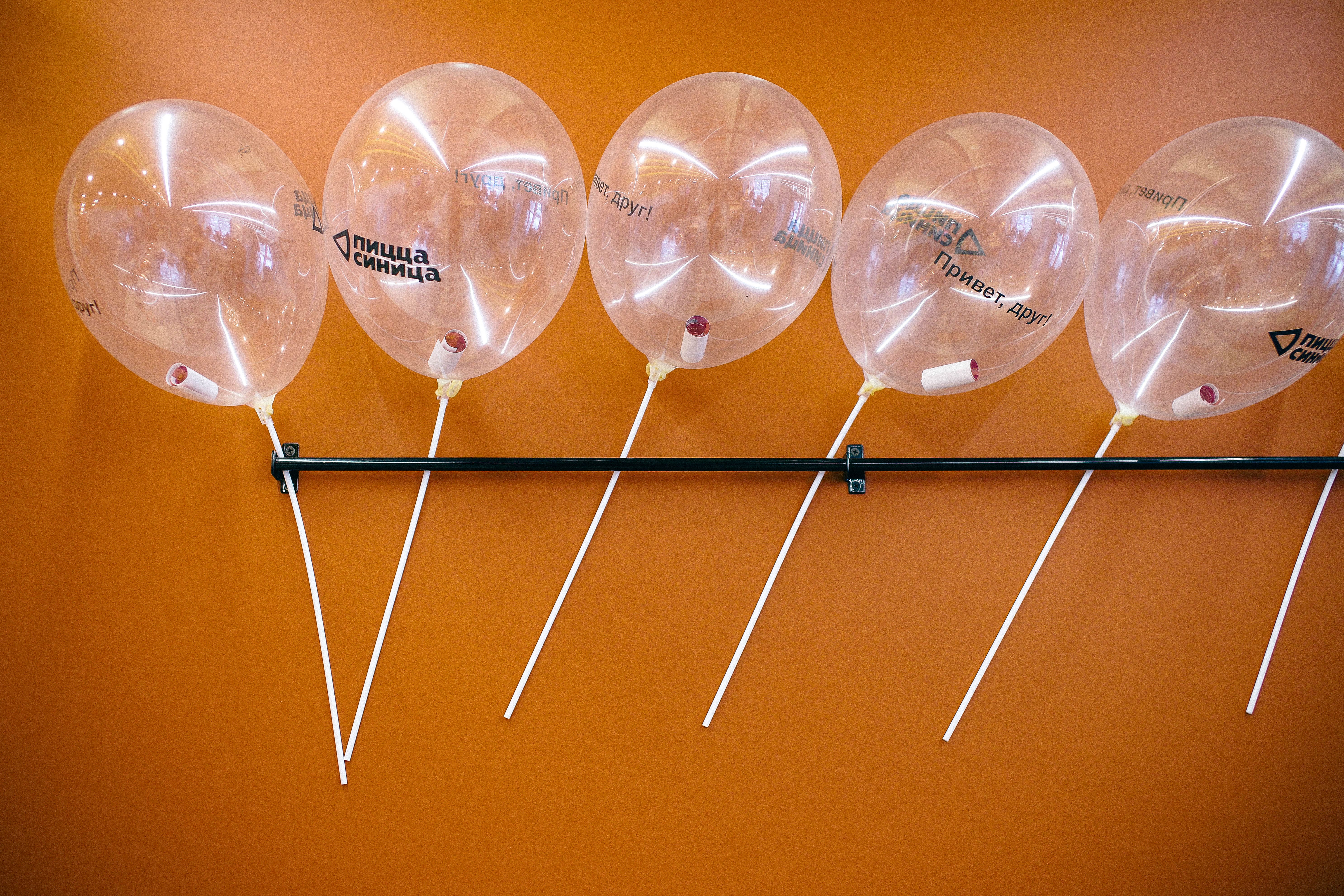 Пицца Синица №7