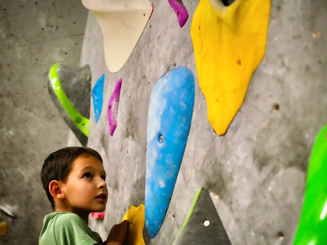 Осьминожки Скалодром №12