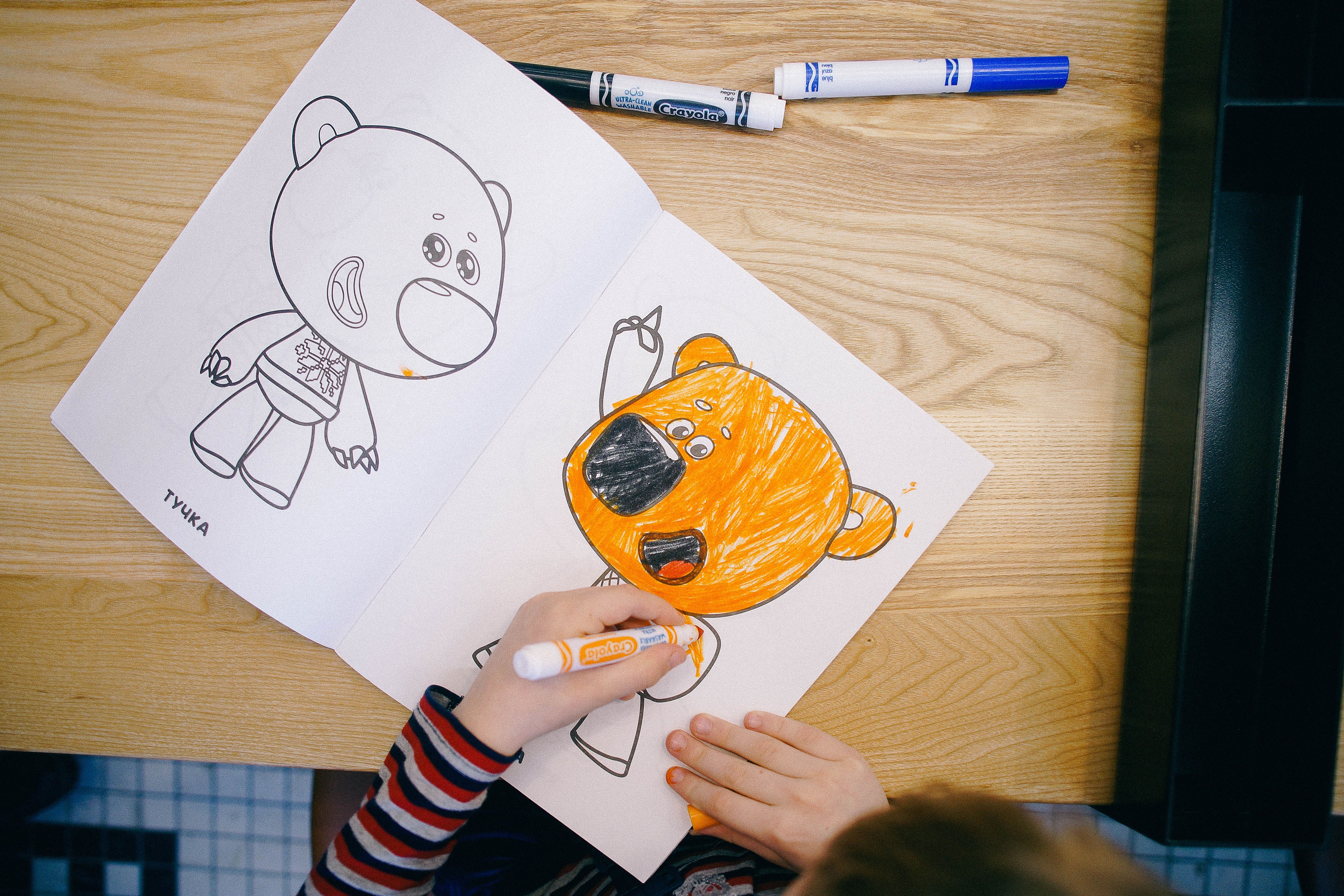 Пицца Синица №10