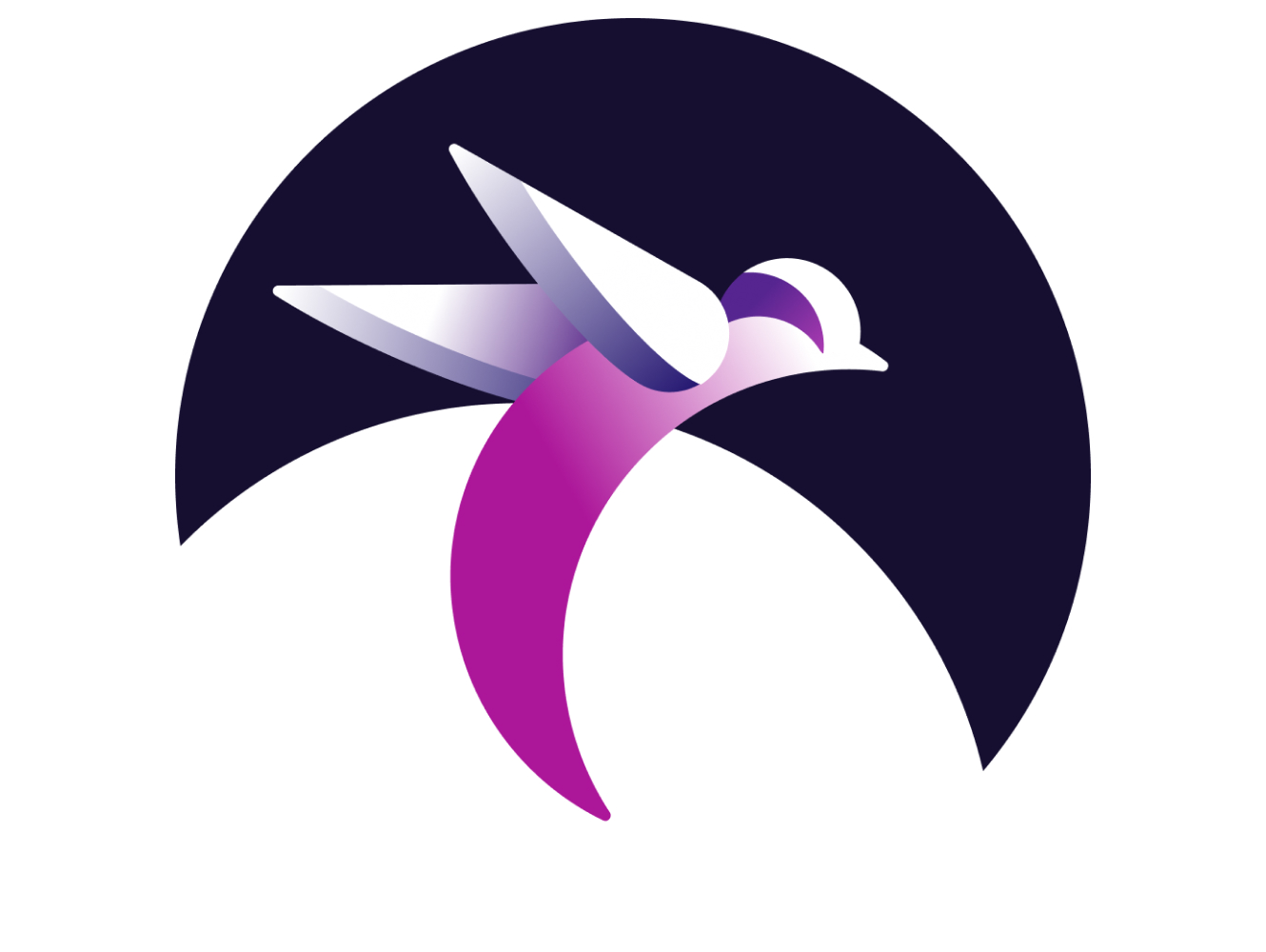 НЕВИДИМЫЙ МИР