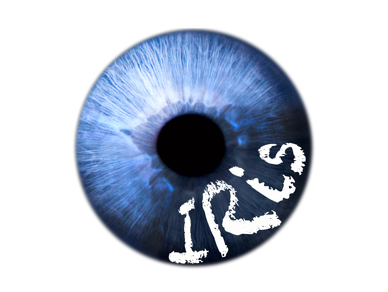 Айрис | Фото радужки глаза