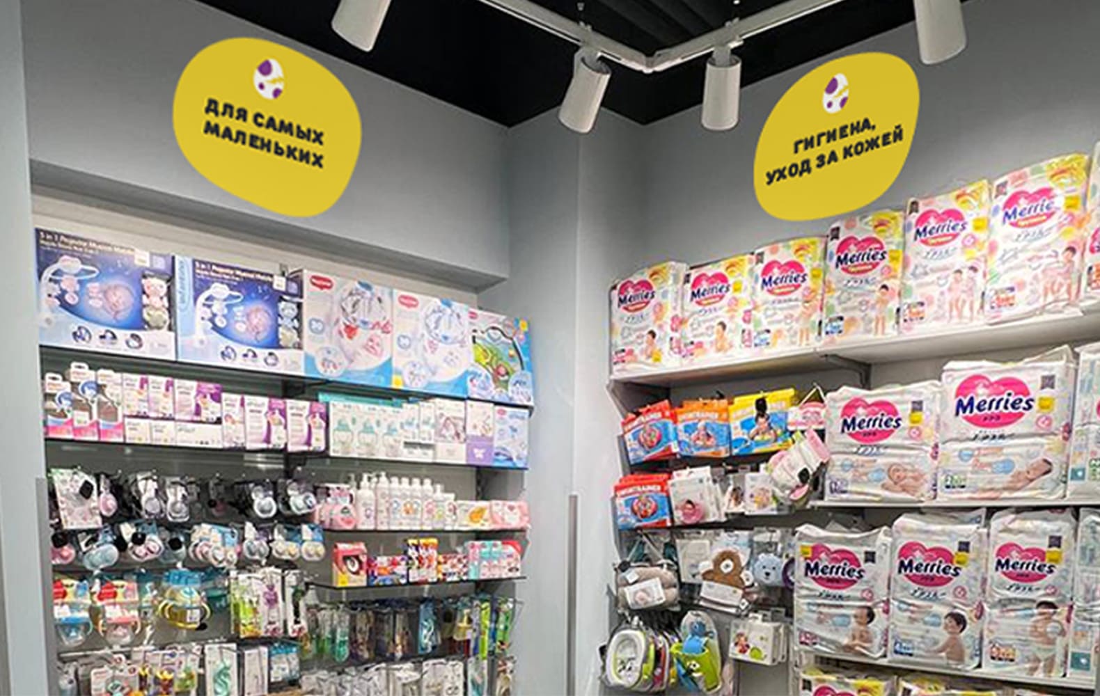 КИДОЗАВР №3