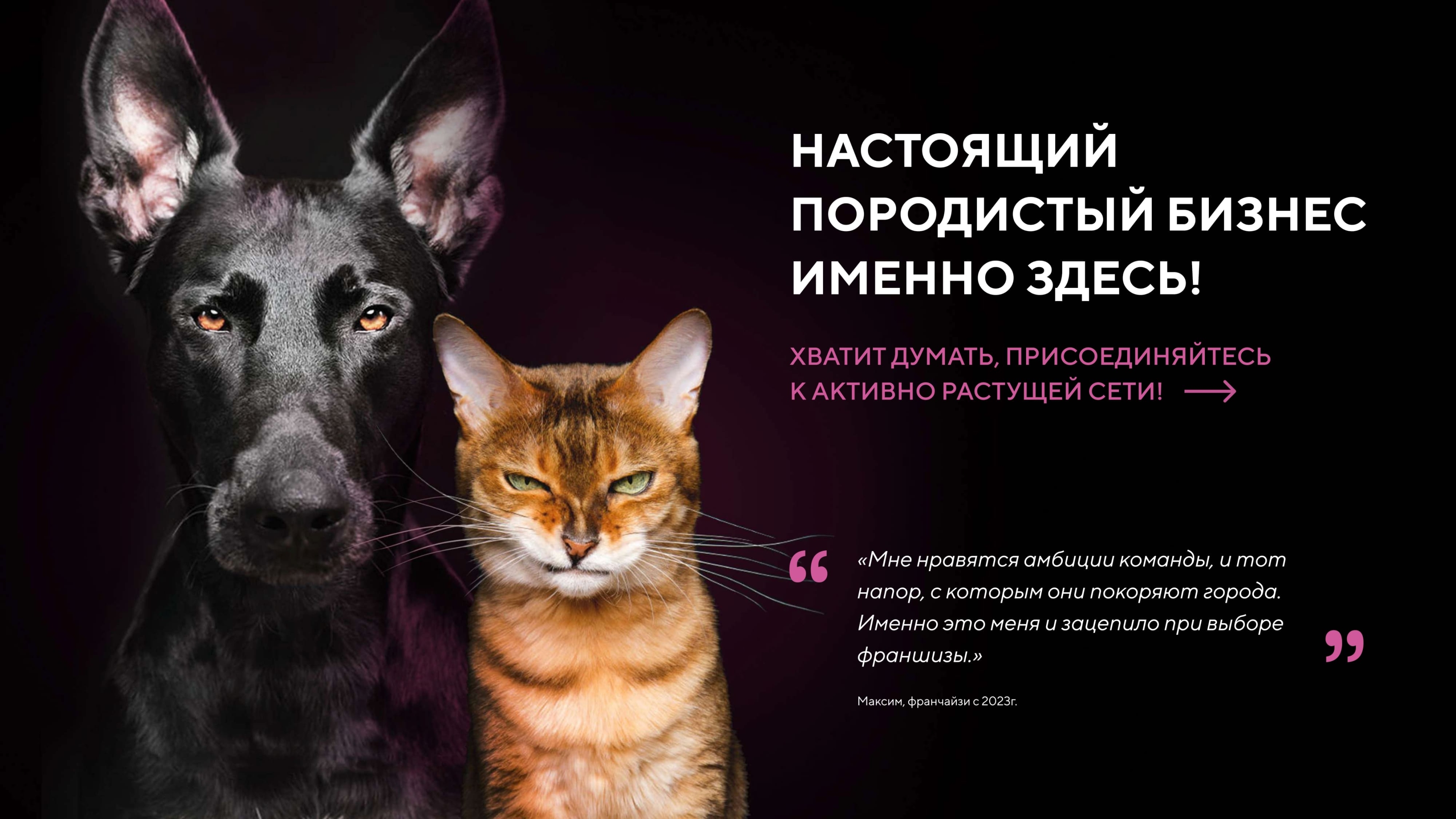 Франшиза Мокрый нос