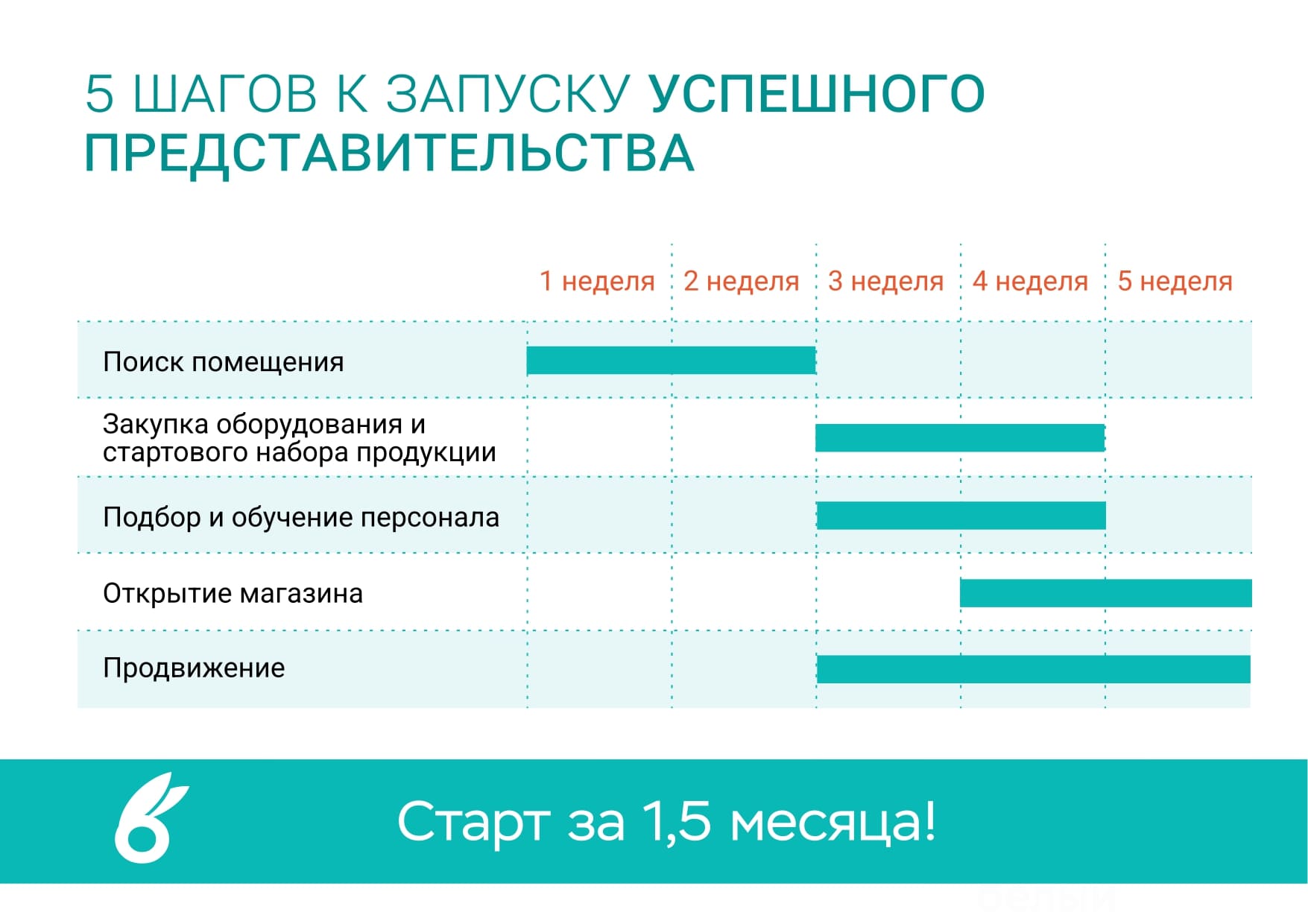 Шаги к запуску франшизы Белый кролик