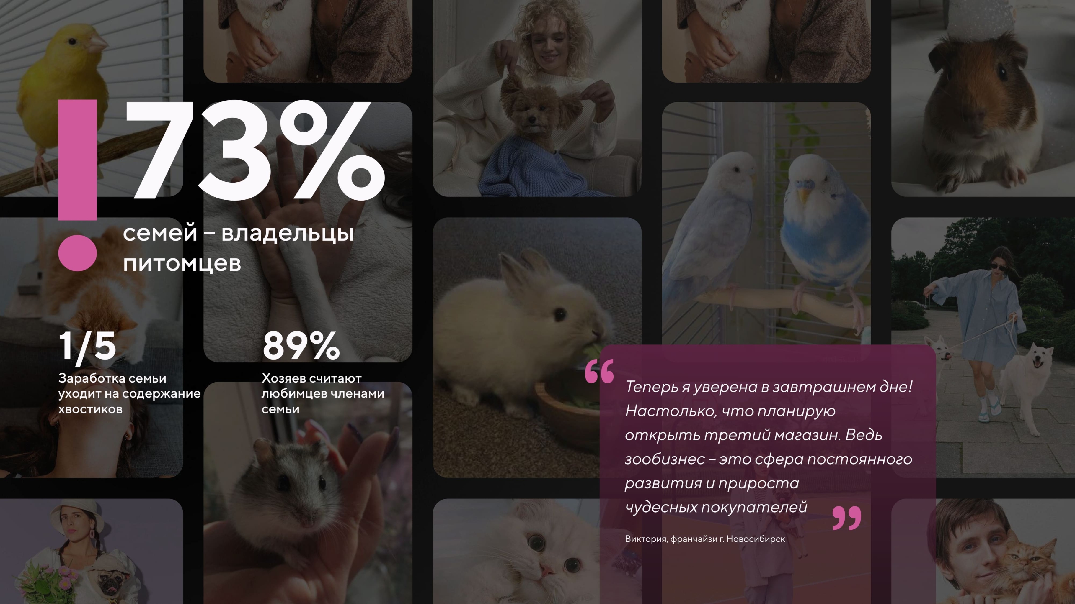 Франшиза зоомагазина Мокрый Нос