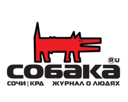 Собака Сочи